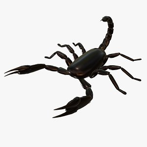 TEXTURED RIGGED AND ANIMATED SCORPION
