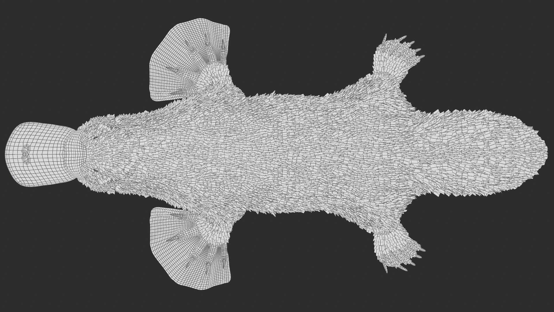 3D Platypus Rigged PBR https://p.turbosquid.com/ts-thumb/LJ/fMNa2y/1o/screenshot013/png/1762289925/1920x1080/fit_q87/eda232d7ecf89fa82de7ad57e886c7e078a1780a/screenshot013.jpg