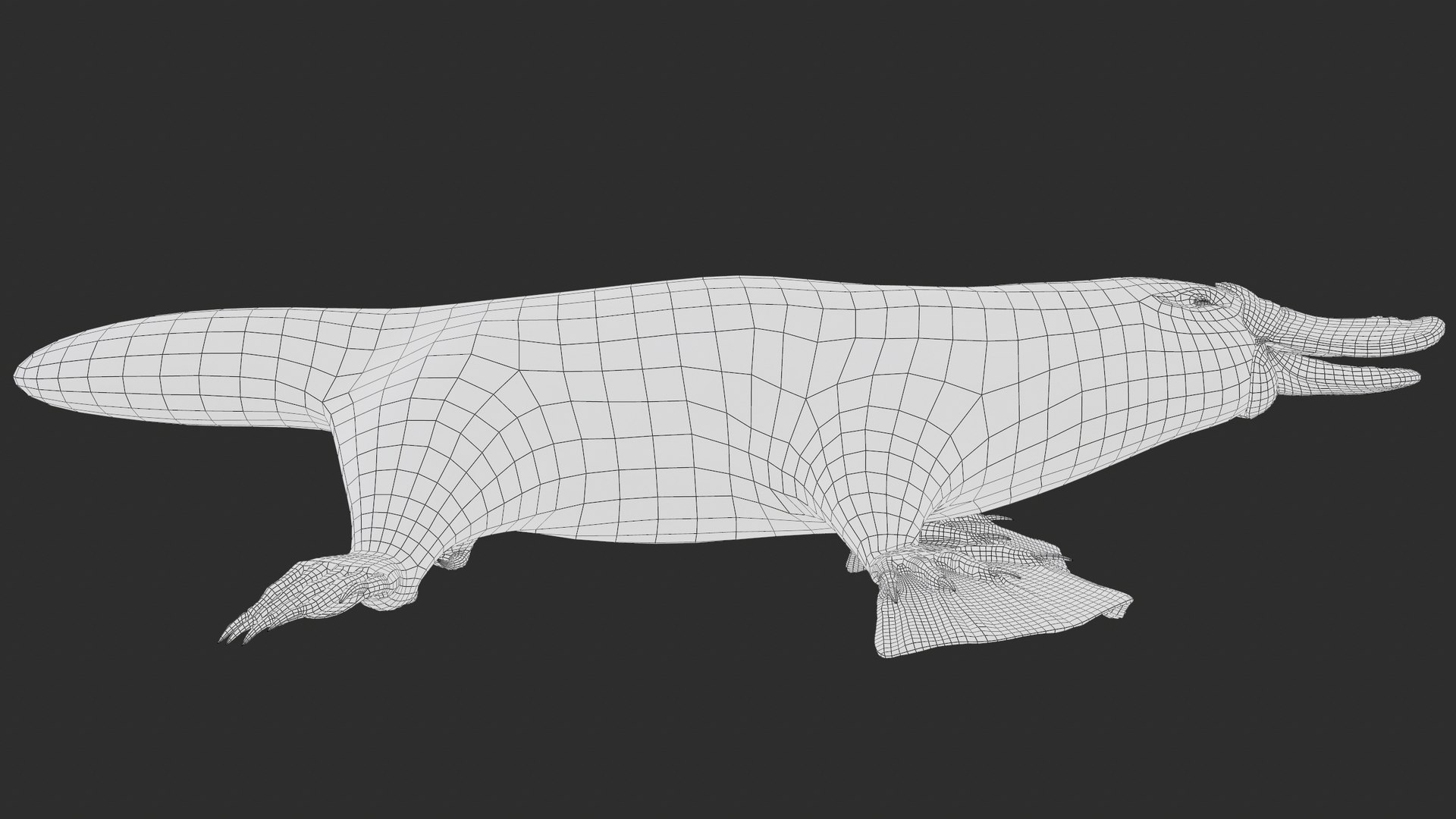 3D Platypus Rigged PBR https://p.turbosquid.com/ts-thumb/LJ/fMNa2y/AY/screenshot019/png/1762289928/1920x1080/fit_q87/c377e1705b11fd2b352366566f4b2f693f361977/screenshot019.jpg