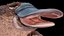 Platypus Rigged PBR