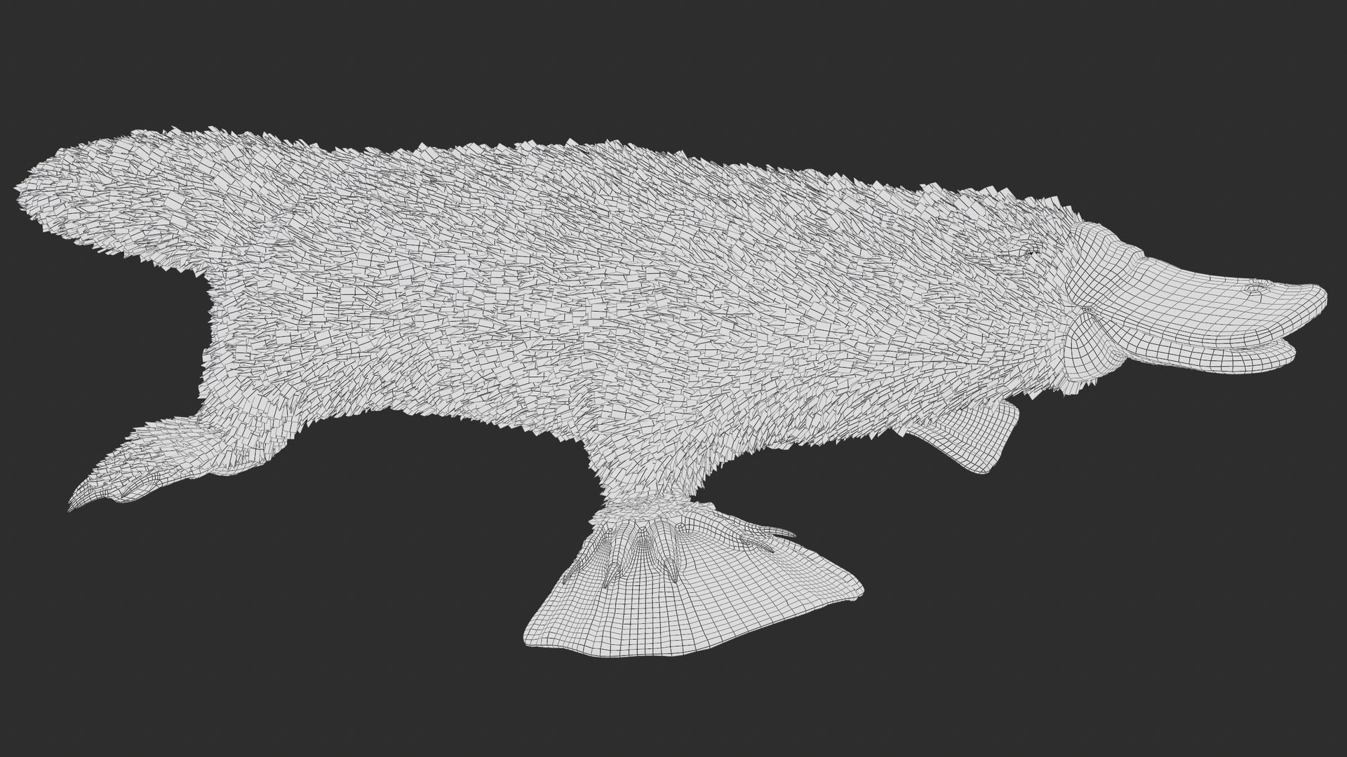 3D Platypus Rigged PBR https://p.turbosquid.com/ts-thumb/LJ/fMNa2y/G5/screenshot004/png/1762289921/1920x1080/fit_q87/df85f92c7c6c006d5ea2c2b1647e7a5742af2420/screenshot004.jpg
