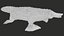 Platypus Rigged PBR