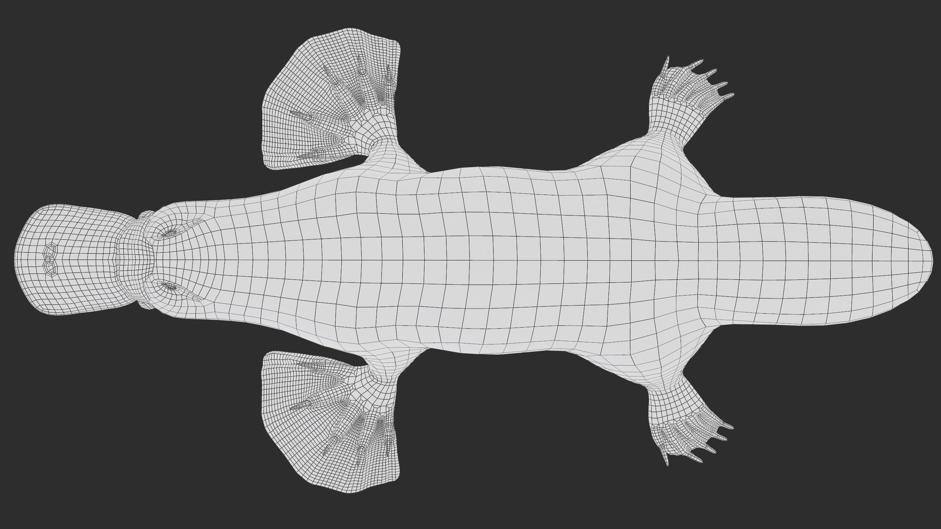 3D Platypus Rigged PBR https://p.turbosquid.com/ts-thumb/LJ/fMNa2y/Ls/screenshot025/png/1762289931/1920x1080/fit_q87/a88848252e1336085d637141fafca4b36702f5fb/screenshot025.jpg