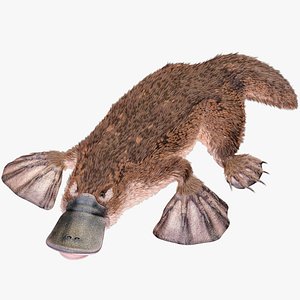 Platypus Rigged PBR