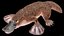 Platypus Rigged PBR