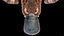 Platypus Rigged PBR