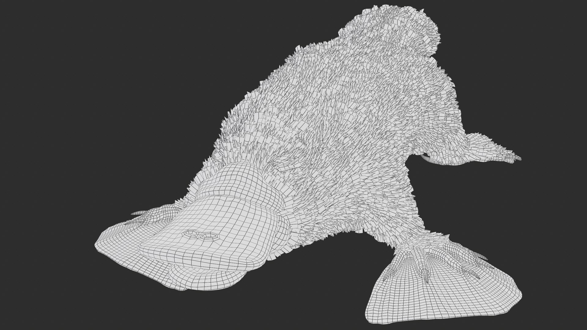 3D Platypus Rigged PBR https://p.turbosquid.com/ts-thumb/LJ/fMNa2y/eA/screenshot001/png/1762289919/1920x1080/fit_q87/b5681d612008e967294a0b4773254a2a0f0da0b6/screenshot001.jpg