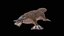 Platypus Rigged PBR