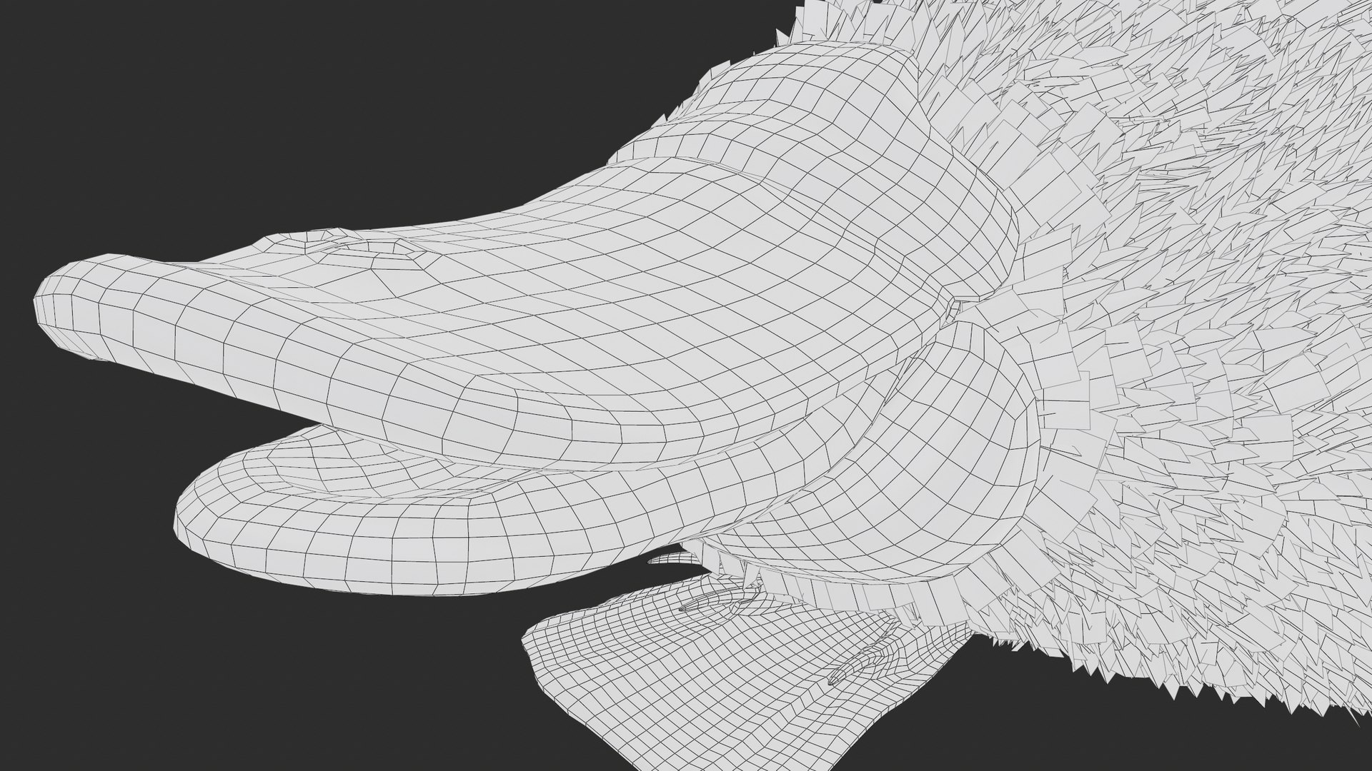 3D Platypus Rigged PBR https://p.turbosquid.com/ts-thumb/LJ/fMNa2y/g0/screenshot027/png/1762289932/1920x1080/fit_q87/8c6a602b4fd56e3ee6b8e7d7daac6b10e51ec38c/screenshot027.jpg