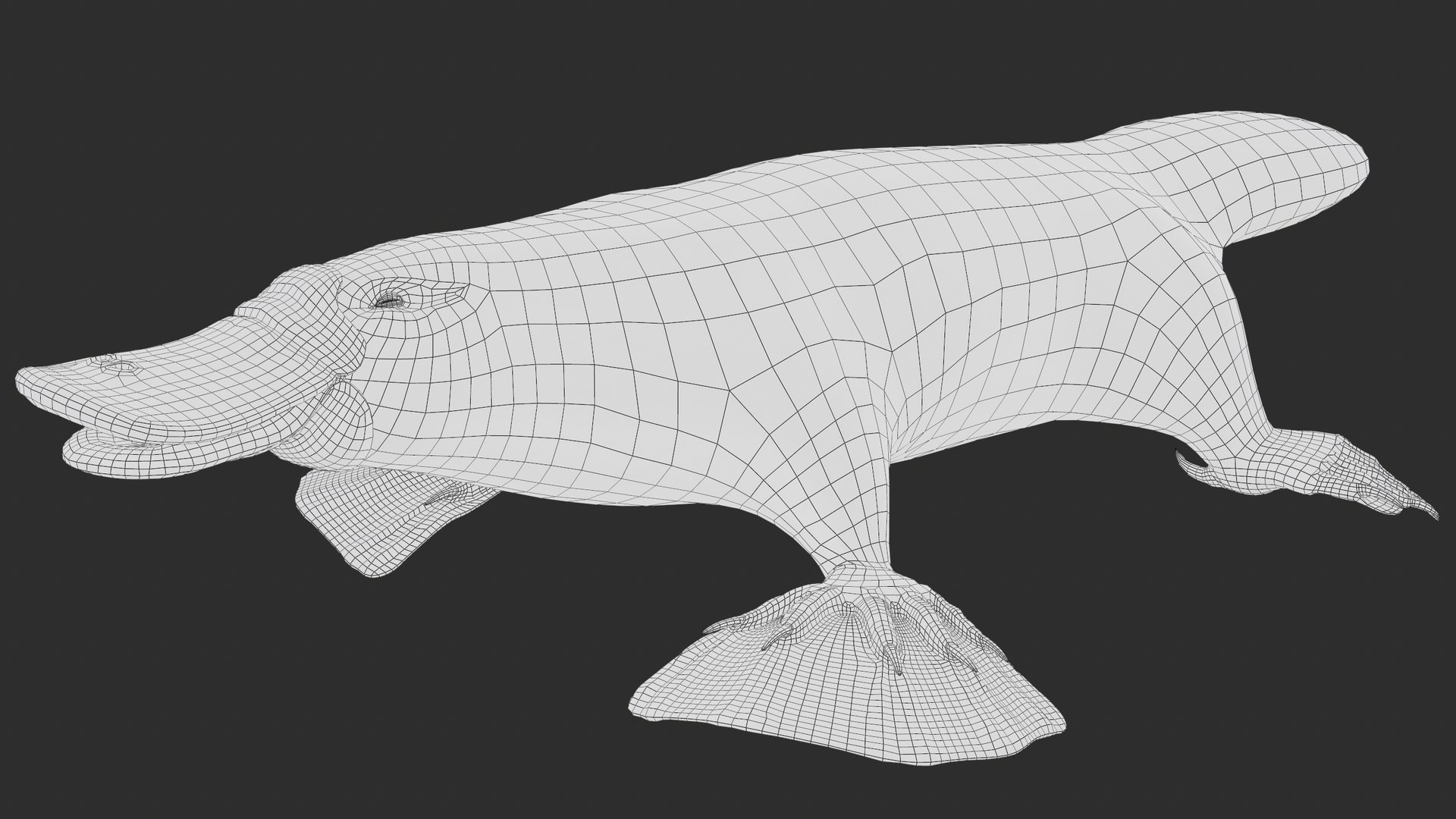 3D Platypus Rigged PBR https://p.turbosquid.com/ts-thumb/LJ/fMNa2y/nJ/screenshot015/png/1762289926/1920x1080/fit_q87/06805b0956f768302ced5e8a879dee74bdcbad6f/screenshot015.jpg