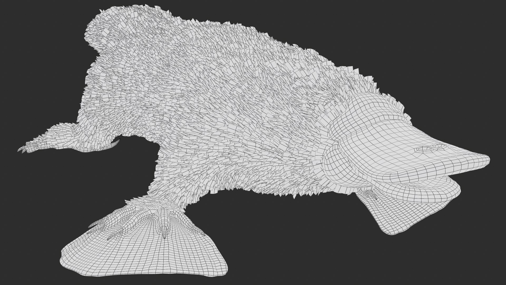 3D Platypus Rigged PBR https://p.turbosquid.com/ts-thumb/LJ/fMNa2y/p4/screenshot003/png/1762289920/1920x1080/fit_q87/cb33e86f96923c2738fce4357f30e8db0cd7ebae/screenshot003.jpg