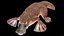 Platypus Rigged PBR