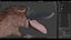 Platypus Rigged PBR