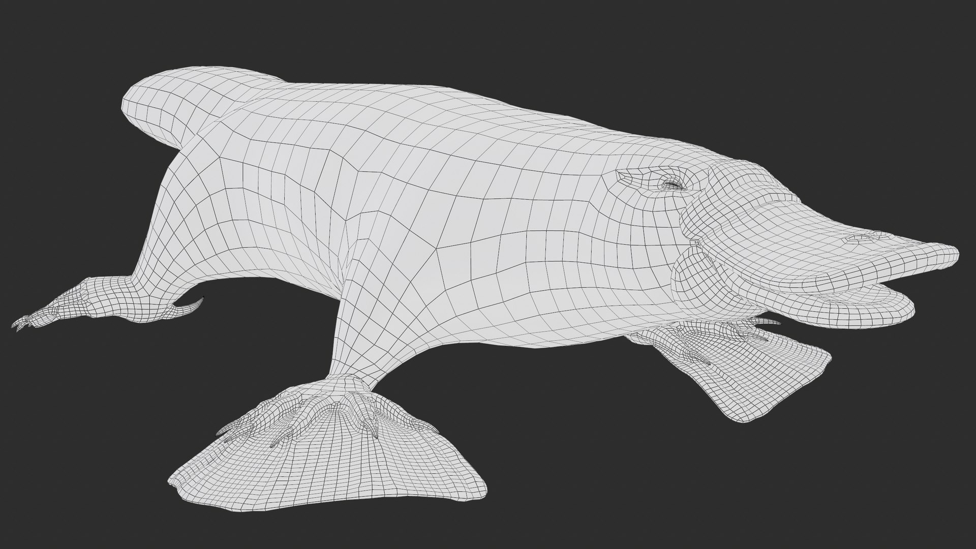 3D Platypus Rigged PBR https://p.turbosquid.com/ts-thumb/LJ/fMNa2y/wE/screenshot017/png/1762289927/1920x1080/fit_q87/0f1745d2db63ea19249417462ea24eae64a9631a/screenshot017.jpg