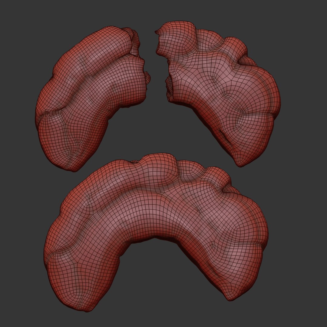 3D model Realistic Croissant Bread 3D Models Vol 02 https://p.turbosquid.com/ts-thumb/LJ/lK8aOD/3t/7/jpg/1755265837/1920x1080/fit_q87/d5af6d611c99559b601278ce9fe453064c5bc5f0/7.jpg