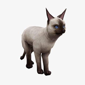 animated siamese cat