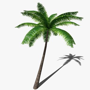 palm tree 3ds