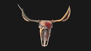 bloody deer skull 3D