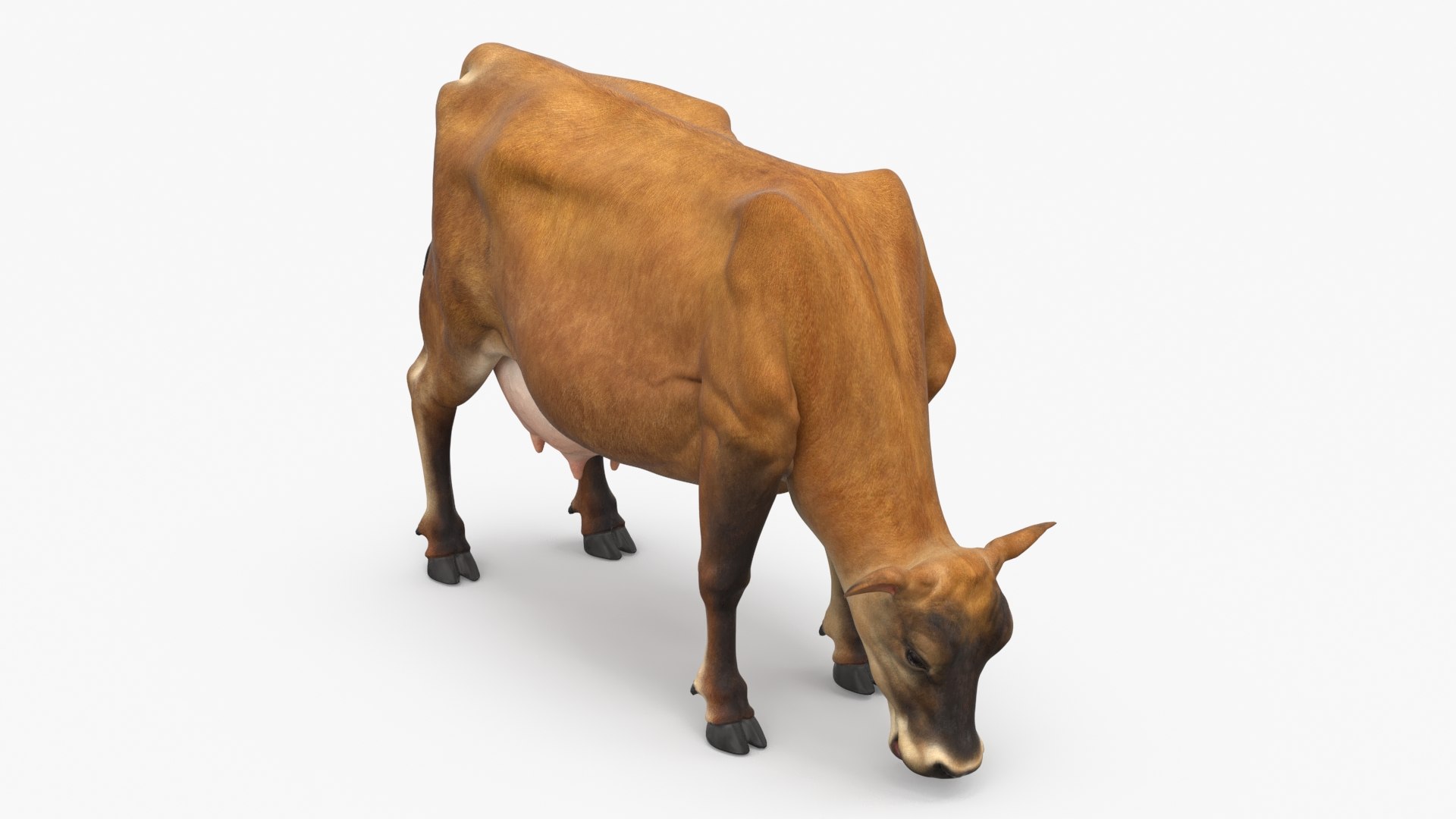Mini Cow Eating 3D model preview