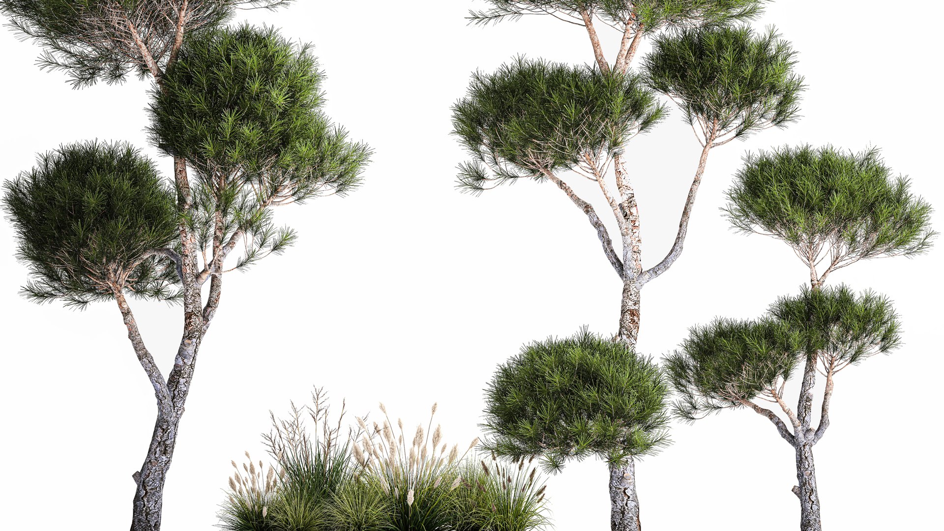 Decorative Pine Topiary In A Garden Flowerpot 1177 3D model https://p.turbosquid.com/ts-thumb/LK/Eo3dHa/8u/1plant2201202305/jpg/1674491415/1920x1080/fit_q87/877643bddc77ac66207f708b95ef00a9880b5ffa/1plant2201202305.jpg