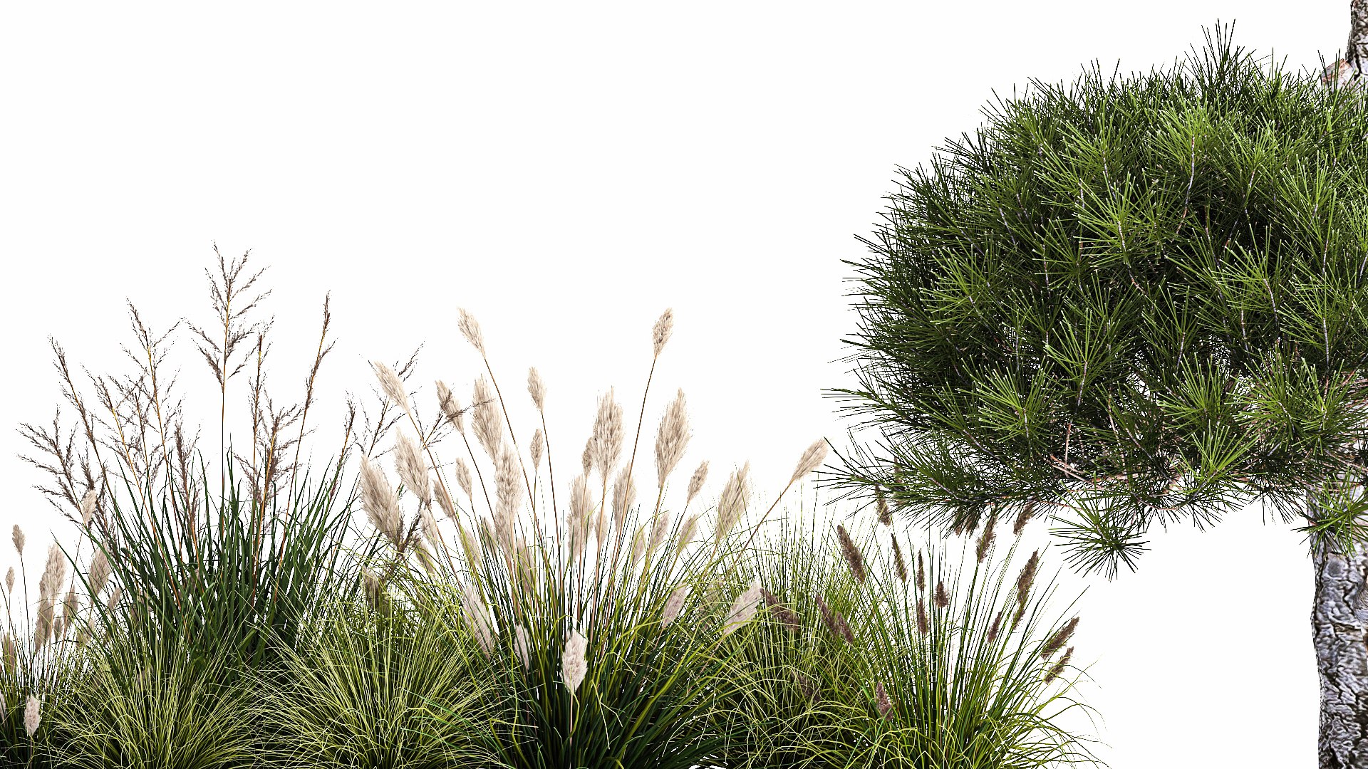 Decorative Pine Topiary In A Garden Flowerpot 1177 3D model https://p.turbosquid.com/ts-thumb/LK/Eo3dHa/UJ/1plant2201202308/jpg/1674491418/1920x1080/fit_q87/718cb7d226a1bf3daa893c238476051f41440a80/1plant2201202308.jpg