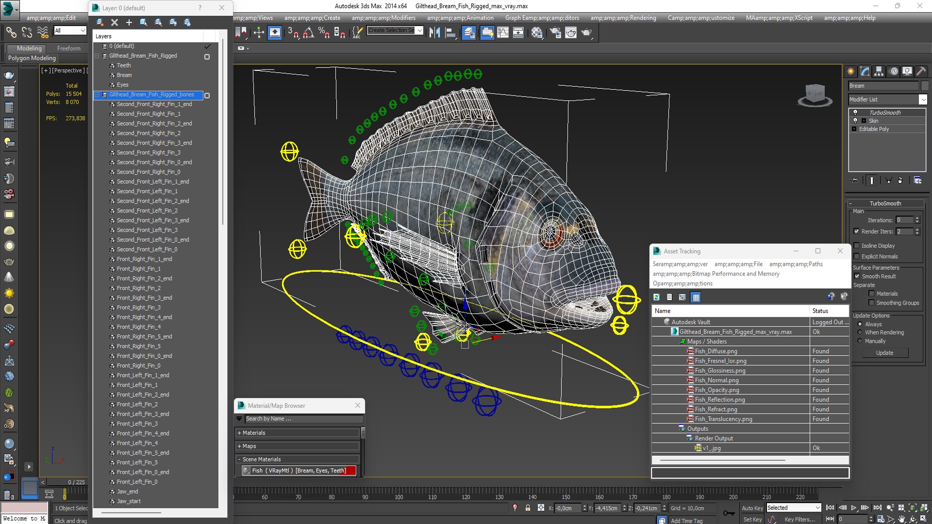 Gilthead Bream Fish Rigged Model - TurboSquid 2169037
