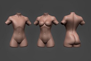 female torso 3D
