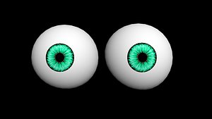 3D model eyes