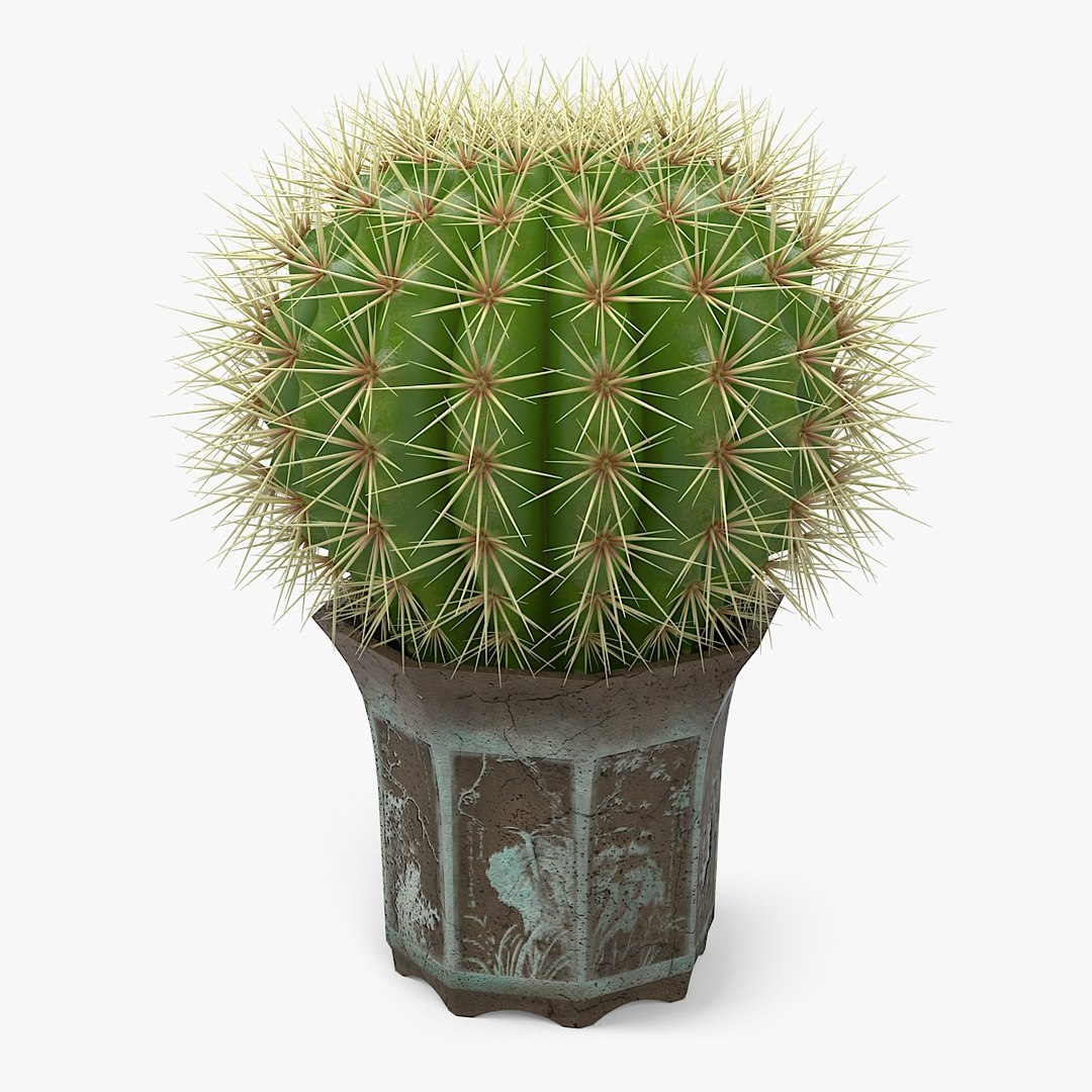 3d - vol 2 essential model https://p.turbosquid.com/ts-thumb/LK/cev7y4/7RQPWyDX/nmodel_02_50_01/jpg/1401909590/1920x1080/fit_q87/8f6adafc93fc64e973b2a4d45953387b159717b6/nmodel_02_50_01.jpg