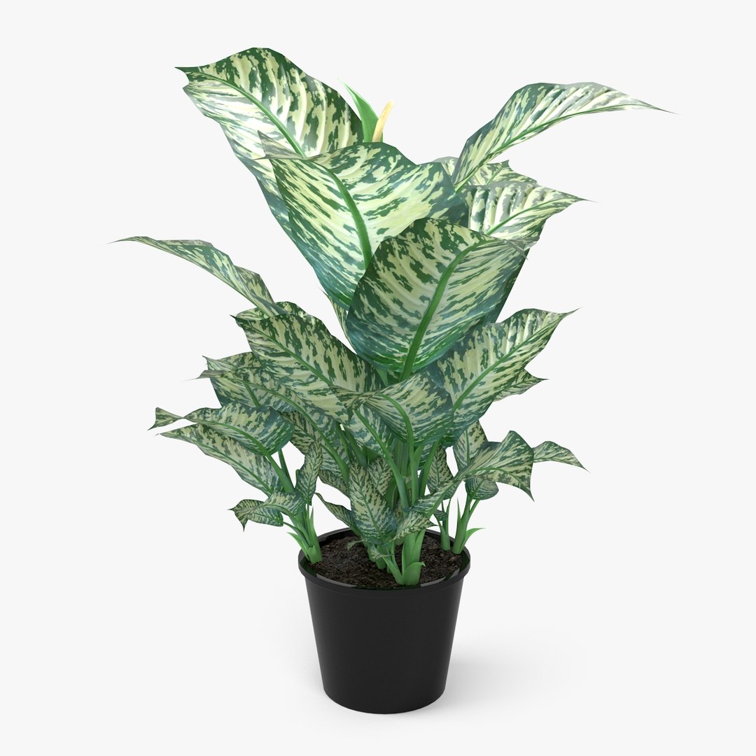 3d - vol 2 essential model https://p.turbosquid.com/ts-thumb/LK/cev7y4/a2SeHf1H/nmodel_02_54_01/jpg/1401909590/1920x1080/fit_q87/8a9a83471a0679197928bab2ba08bbbfc22b11e1/nmodel_02_54_01.jpg