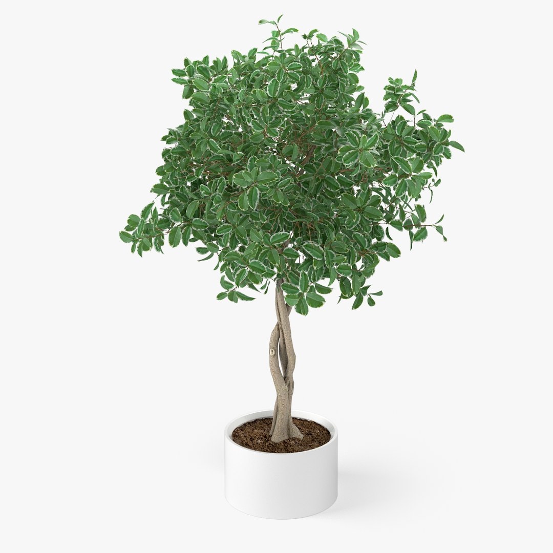 3d - vol 2 essential model https://p.turbosquid.com/ts-thumb/LK/cev7y4/cYCBzQTB/nmodel_02_58_01/jpg/1401909590/1920x1080/fit_q87/1565fc354ca31fa2501ca3860f5742794a196d5c/nmodel_02_58_01.jpg