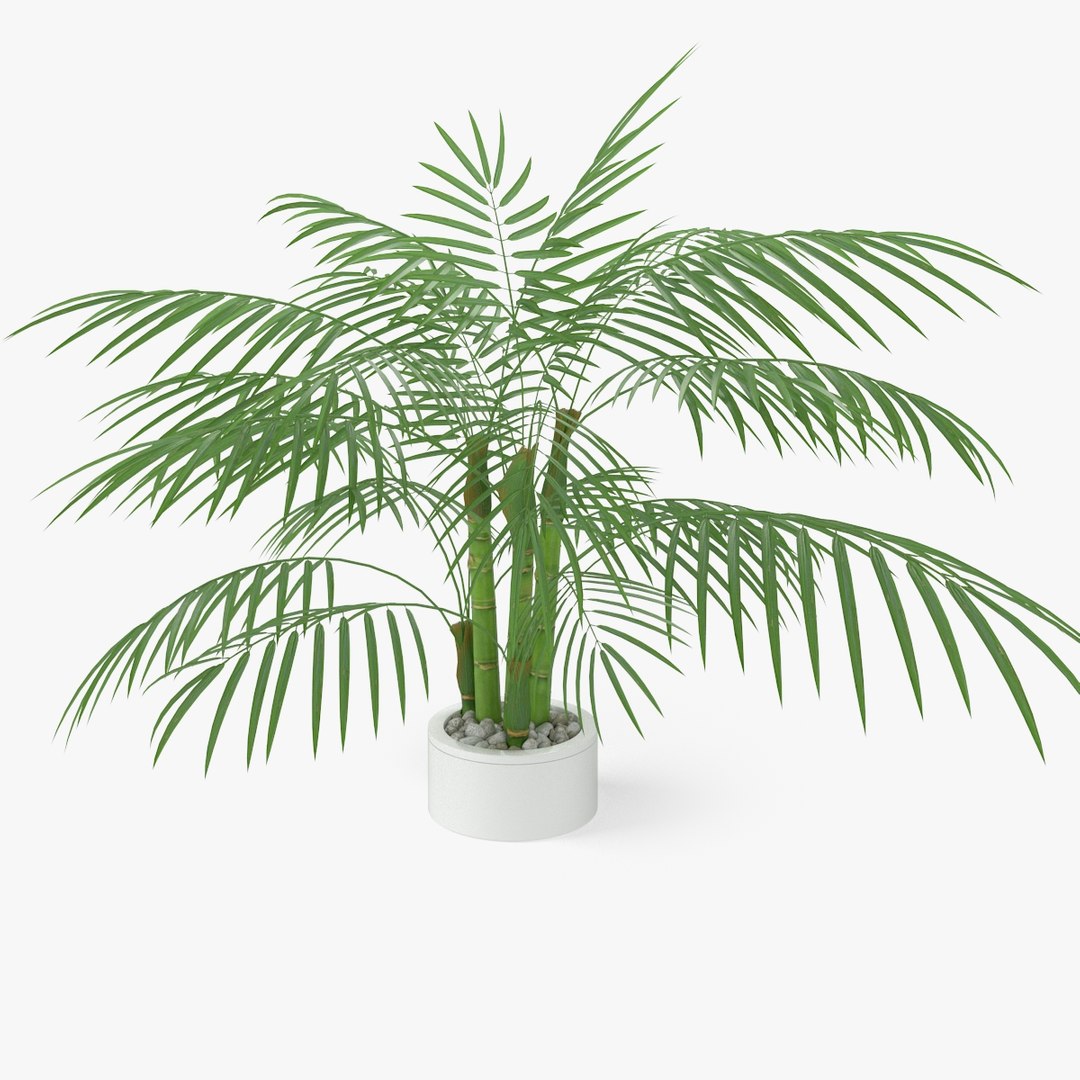 3d - vol 2 essential model https://p.turbosquid.com/ts-thumb/LK/cev7y4/gNxhzOMD/nmodel_02_59_01/jpg/1401909590/1920x1080/fit_q87/82681655980d8dd5adebbf05d0a09025b7d584cf/nmodel_02_59_01.jpg