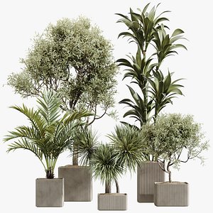 AV Indoor Plants Set 239 Mission Chemlali Olive Spineless Palm Lemon Cane Paradise 3D