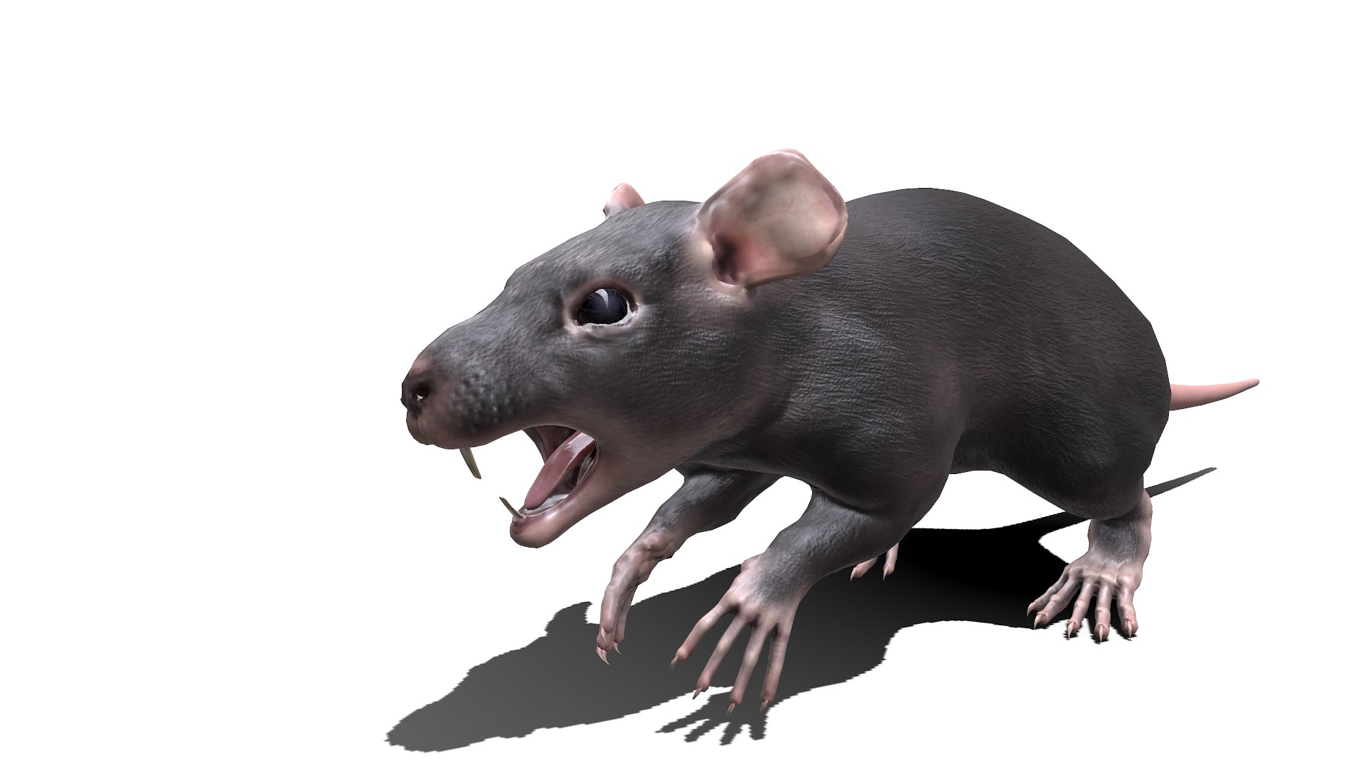 3D Rat Low-poly PBR Model - TurboSquid 1829389