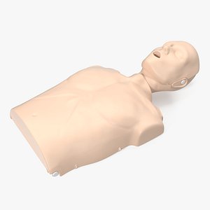Half Body First Aid Training Dummy
