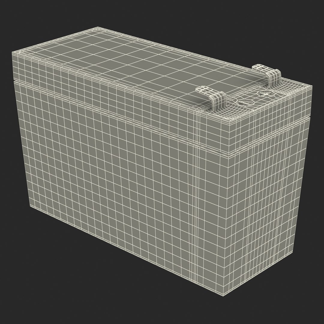 3ds Max 12 Volt Battery