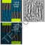 Billboards and Banner Stands Collection