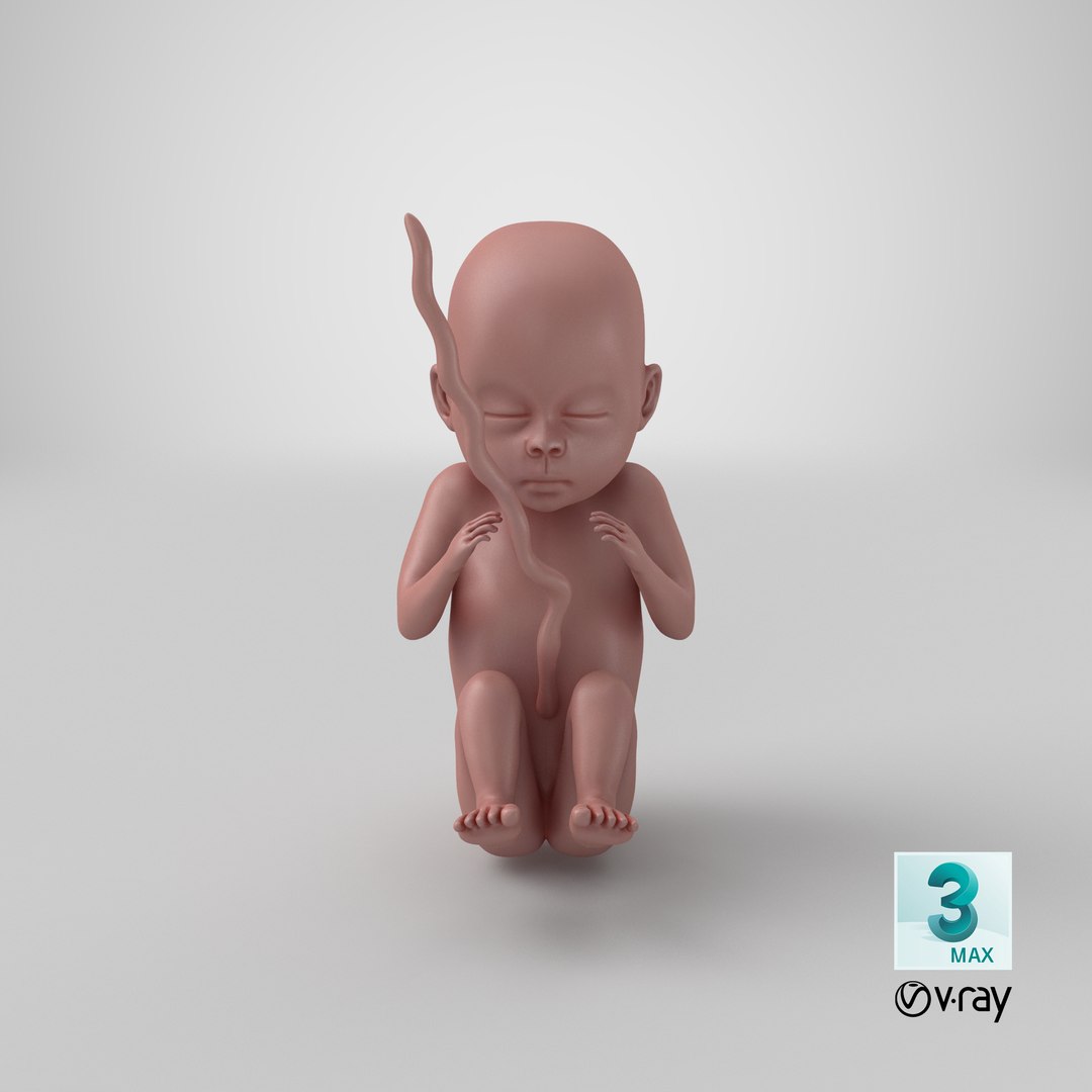 human fetus pbr 3D https://p.turbosquid.com/ts-thumb/LL/LHjzuM/GEJVXj3n/render.0001/png/1524148776/1920x1080/fit_q87/47d87d8e29fdd591b0b7885bfe8f4290fc4767b8/render.0001.jpg