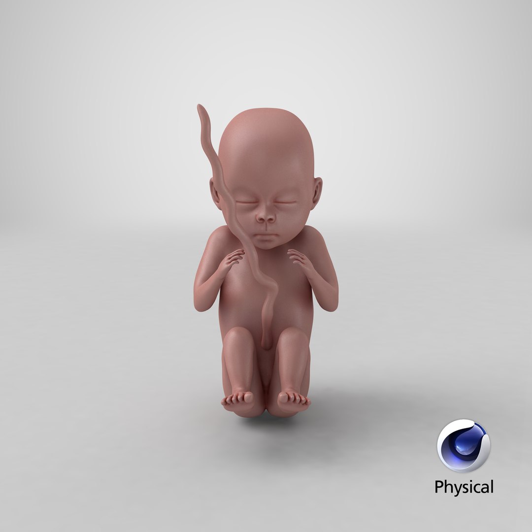 human fetus pbr 3D https://p.turbosquid.com/ts-thumb/LL/LHjzuM/NxJKyyM0/render.0001/png/1524148785/1920x1080/fit_q87/9f9728b6c68e1318d759a4b34d1d7b1877c9856a/render.0001.jpg
