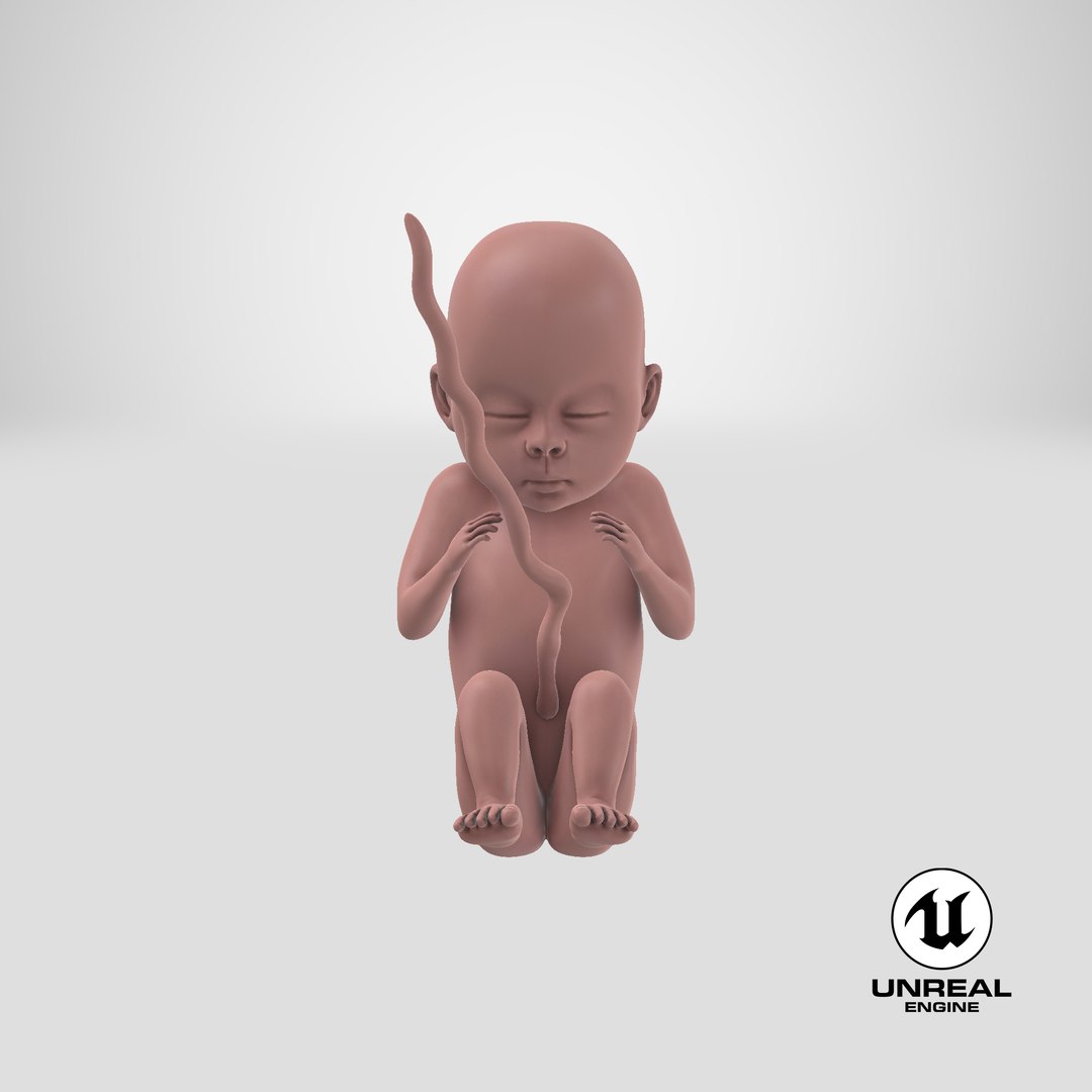 human fetus pbr 3D https://p.turbosquid.com/ts-thumb/LL/LHjzuM/dC4ZSrSH/unreal_capture/png/1524148789/1920x1080/fit_q87/756843d5809366ce09da9a4af0e4fbb0f1d3abf5/unreal_capture.jpg