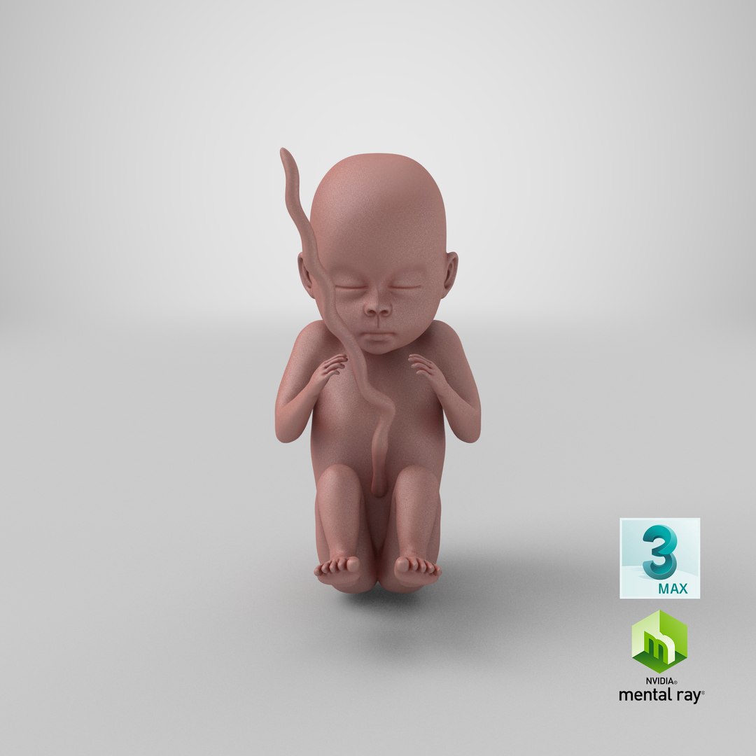 human fetus pbr 3D https://p.turbosquid.com/ts-thumb/LL/LHjzuM/e8JzcVUf/render.0001/png/1524148781/1920x1080/fit_q87/d517d6dd650487a495060720a6f56355b775b340/render.0001.jpg