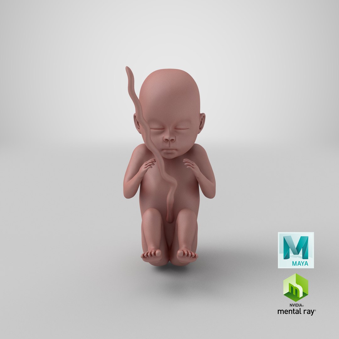 human fetus pbr 3D https://p.turbosquid.com/ts-thumb/LL/LHjzuM/smjYVTTh/render.0001/png/1524148771/1920x1080/fit_q87/73964e02635a80d1fd585d759ce9d4e7722fdb36/render.0001.jpg