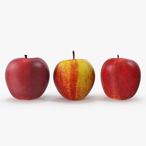apples v-ray 3D model
