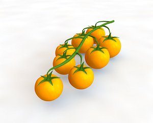 tomato 3D model