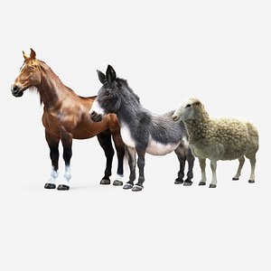 animals horse donkey sheep 3D model