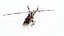 Bell 407 Helicopter