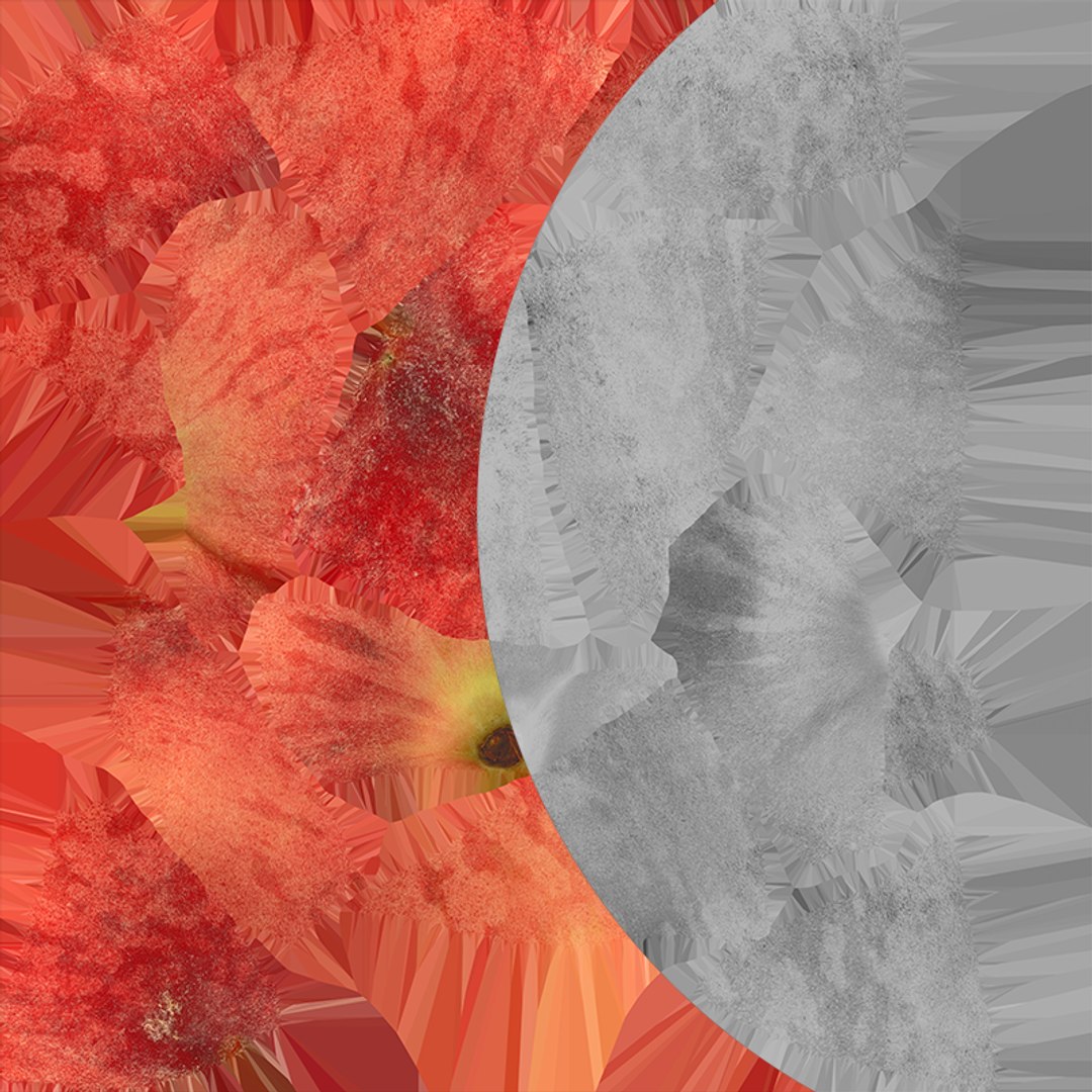 Peach Fruit 01 - Raw Scan 3D model https://p.turbosquid.com/ts-thumb/LM/5esPqi/Gf/peach01_e0005/png/1762060278/1920x1080/fit_q87/45415ea2814ac917d7560ba277eeea4e1d33d319/peach01_e0005.jpg