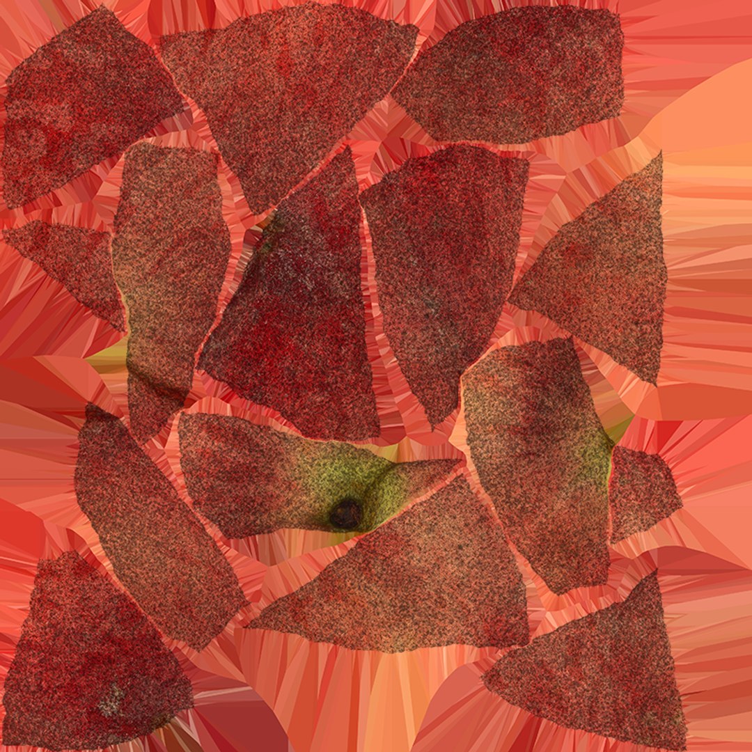 Peach Fruit 01 - Raw Scan 3D model https://p.turbosquid.com/ts-thumb/LM/5esPqi/V3/peach01_e0004/png/1762060277/1920x1080/fit_q87/6714072d1fac2ed1c106018c0186d0e777e997b7/peach01_e0004.jpg