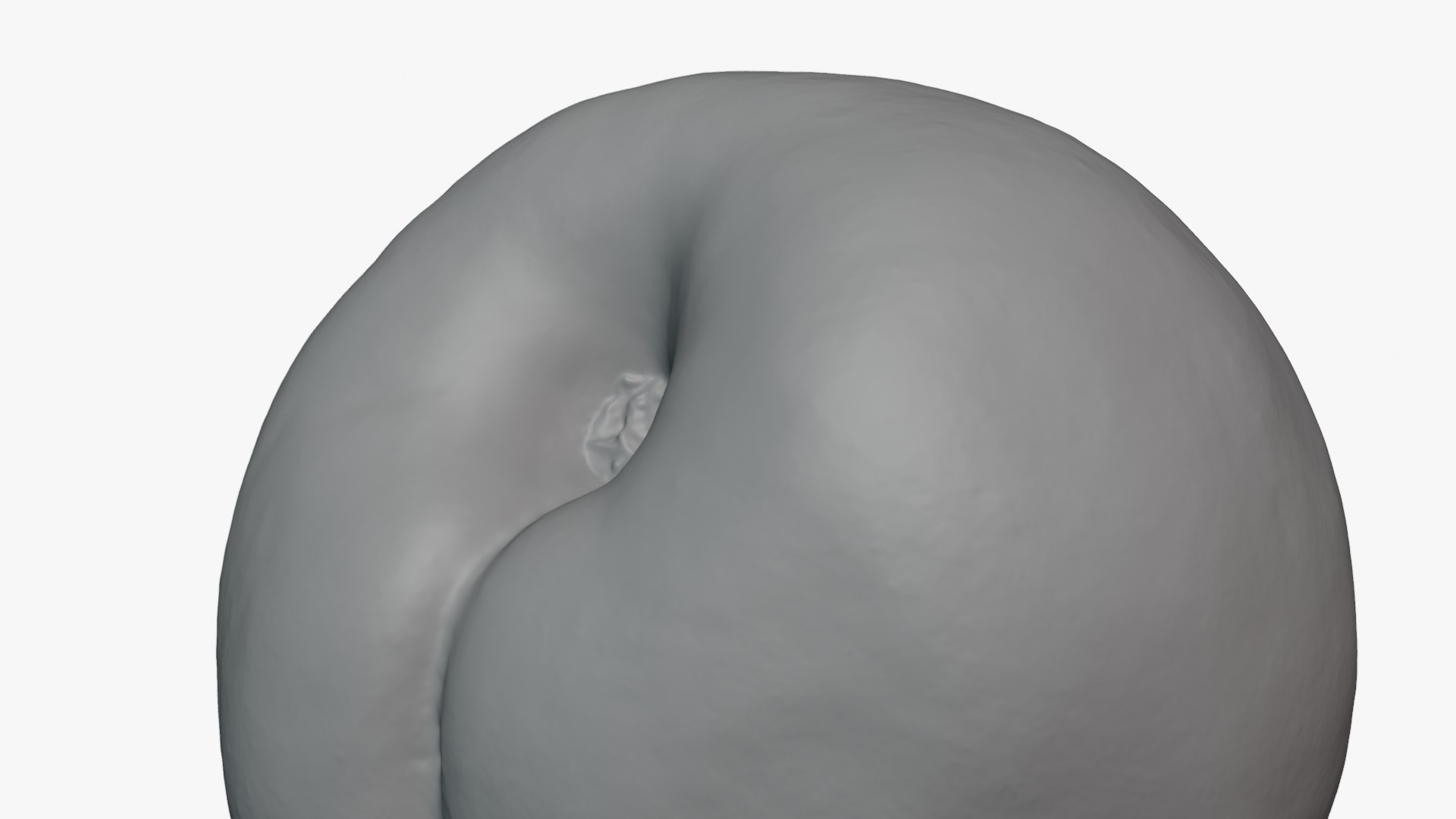 Peach Fruit 01 - Raw Scan 3D model https://p.turbosquid.com/ts-thumb/LM/5esPqi/uX/peach01_0012b/png/1762060270/1920x1080/fit_q87/4b5c159eee3de1d1d3e596481d14647c1d495b9c/peach01_0012b.jpg