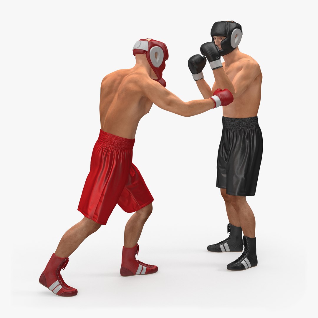Two Boxers Fighting 3D model preview